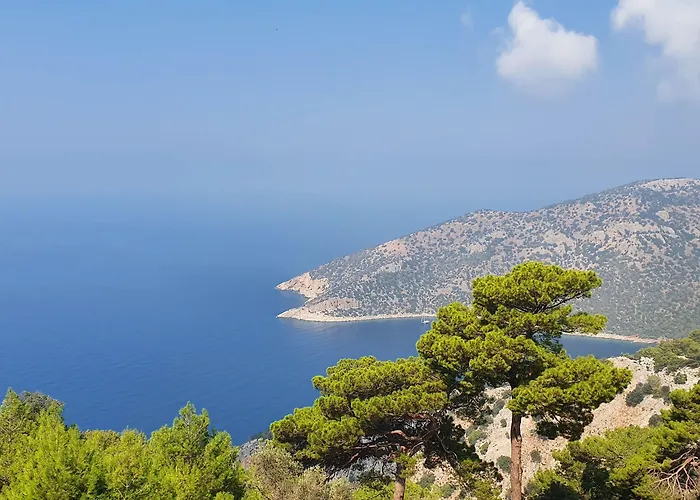 Отель Kesif Zone Eco Retreats *